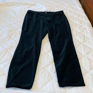 Jjill PETITE Very dark teal/green velvet lightweight pants 👖